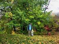 Image d'automne