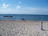 Bain de mer pour Max..........   brrr l'eau n'était pas chaude, env. 15 C
