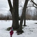 img 7681