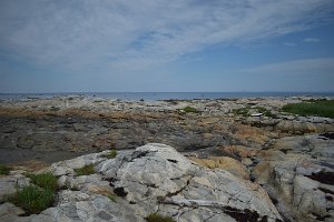 DSC_1066