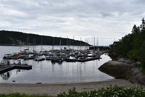 DSC_1095