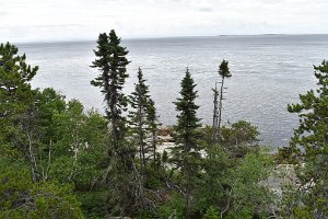 DSC_1097