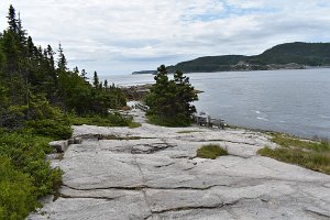 DSC_1102