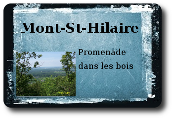 Mont st Hilaire